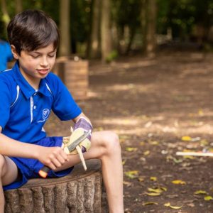 student sat on a stump