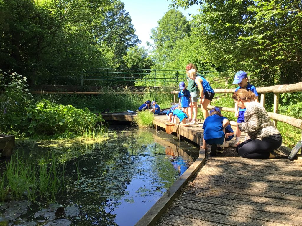 children and parents exploring the pond wildlife