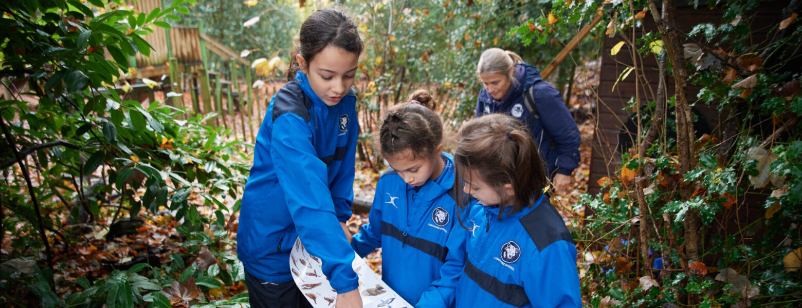 students discovering birds in the forest